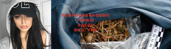 спиды Абаза