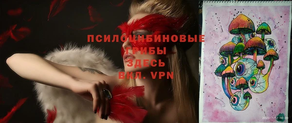 амф Алексеевка