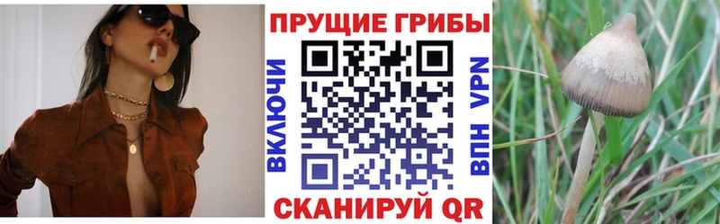 даркнет сайт  Архангельск  Галлюциногенные грибы MAGIC MUSHROOMS 